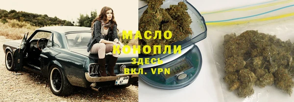 индика Армянск