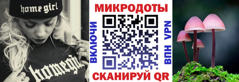 Псилоцибиновые грибы Cubensis  Калязин 